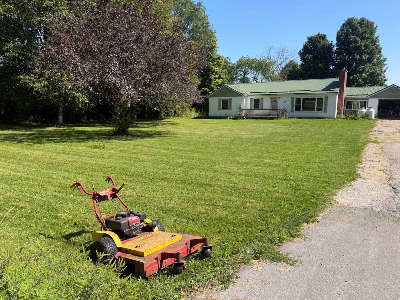 Large residential lawn after mowing